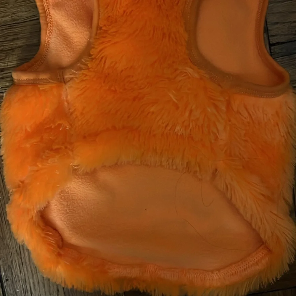 pumpkin costume size; M fits a shihpoo